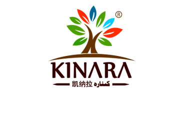 كىنارە مال باشقۇرۇش مالىيە سىستىمىسى
